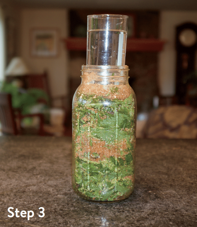 A Drink Only a Garden Could Love Fermented Plant Juice Chelsea Green