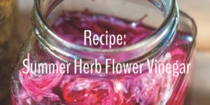 summer herb flower vinegar