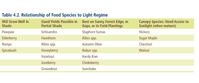 farm the woods chart