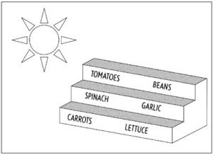 terracing diagram