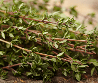 thyme
