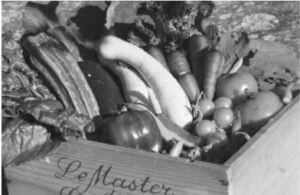 basket of vegetables