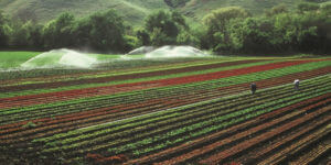 irrigation system and farmland