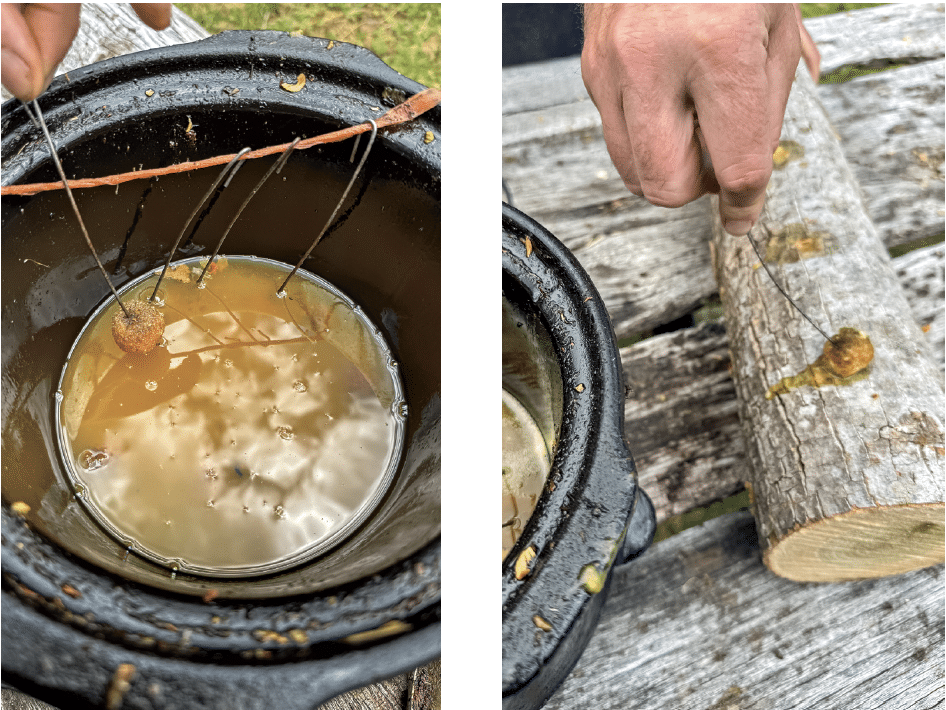Left: a black bucket with murky water and several thin lines with small brown balls attached. Right: a hand pulls a string from a log, with a brown lump on the string.