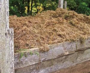 pile of hay