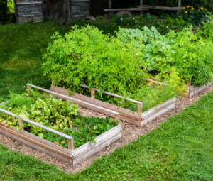 using woodchip to improve soil in planting beds