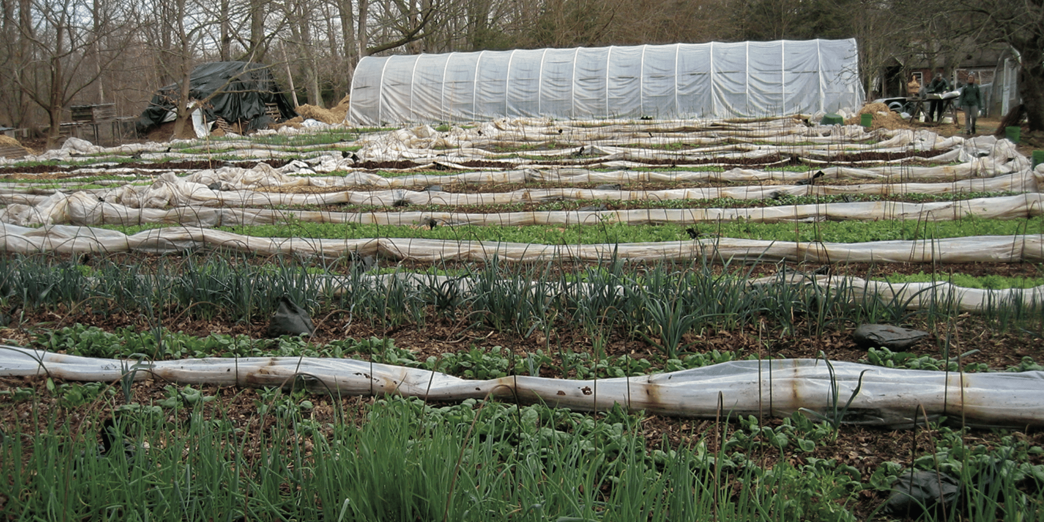 The Winter Harvest: Eliot Coleman's Three Components, image size:2062x1031