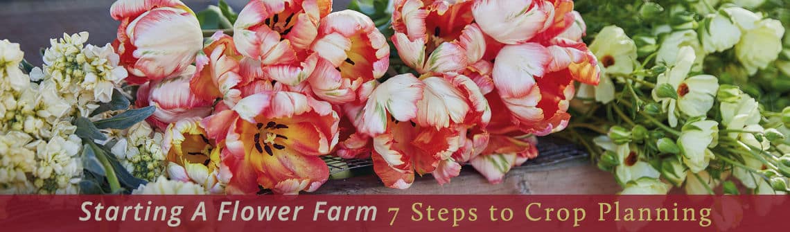 zFAQAvcS_odceTW5-lkj9hI4ZGdoXKWRSul1m0eht1I